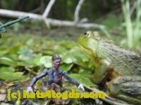 /home//u458753944/public_html/sourcegallery//////Frogs/Bullfrogs 2016-08 Ontario/P8120054.JPG